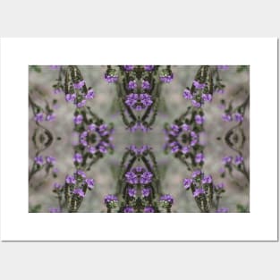 Purple Salt Heliotrope Wildflower Pattern Coachella Valley Wildlife Preserve Posters and Art